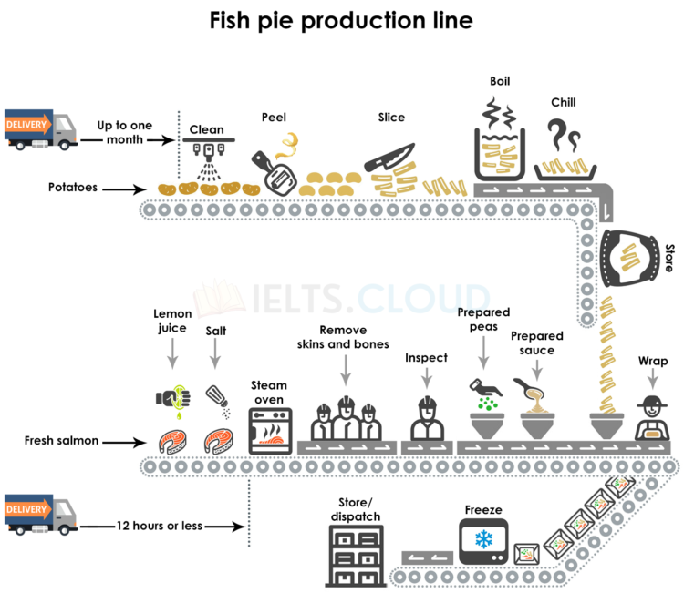 Fish Pie Production Line